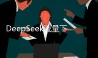 DeepSeek流量下滑
，这半年梁文锋都干了啥？