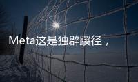 Meta这是独辟蹊径，还是病急乱投医	？