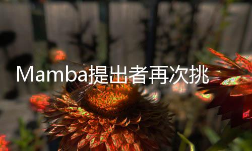 可以学习如何对数据进行分割