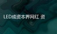 快排公司十年历程，霸屏兔 seo 的崛起与坚守