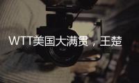 快排公司十年历程，霸屏兔 seo 的崛起与坚守
