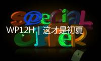 快排公司十年历程，霸屏兔 seo 的崛起与坚守
