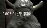 1603.9公斤 袁隆平团队水稻亩产再创纪录