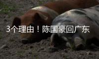 3个理由！陈国豪回广东倒计时�，联手郭艾伦，朱芳雨被1个执念困住