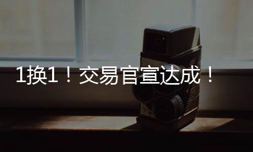 掘金送出达里奥-萨里奇