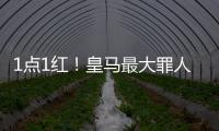 快排公司十年历程，霸屏兔 seo 的崛起与坚守