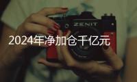 2024年净加仓千亿元，寿险“头雁”还看好股市吗
？｜透视金融业2024年年报④
