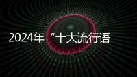 2024年“十大流行语”发布
，“未来产业”“city不city”等入选