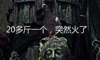 20多斤一个，突然火了
！杭州一菜场摊主：没有现货，隔两天就有人来预订