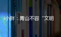 i小胖：青山不容“文明之垢”